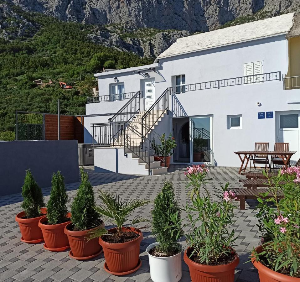 Hill With Private Pool Villaer Makarska